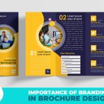 Brochure Design Services